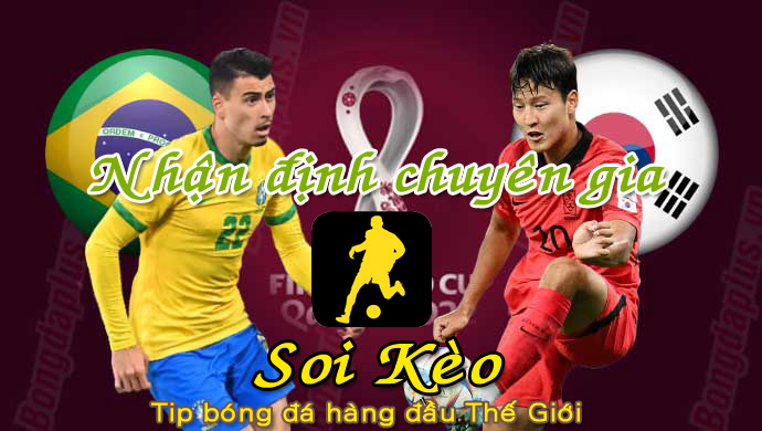 Soi Kèo Brazil - Hàn Quốc
