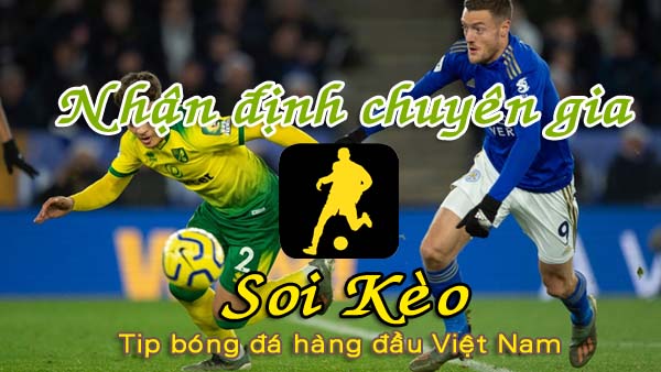 Nhận định Soi Kèo Leicester vs Norwich: Chấm dứt mạch không thắng