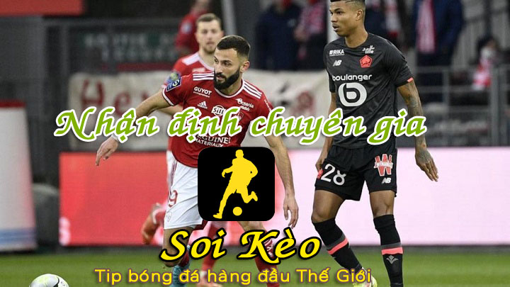 Soi Kèo Brest - Lille