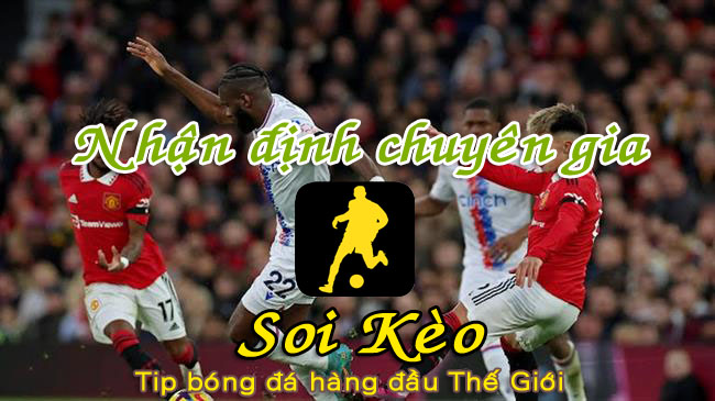 Soi Kèo Crystal Palace - Brighton