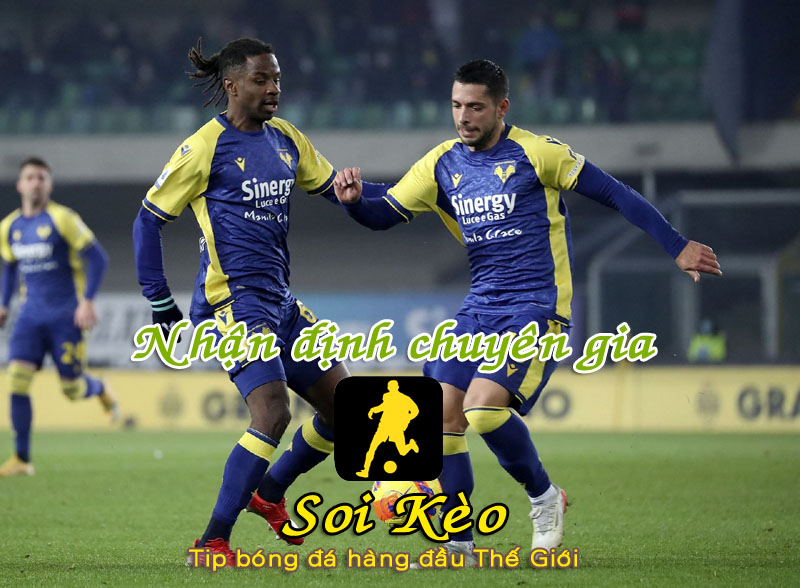 Soi Kèo Verona - Salernitana