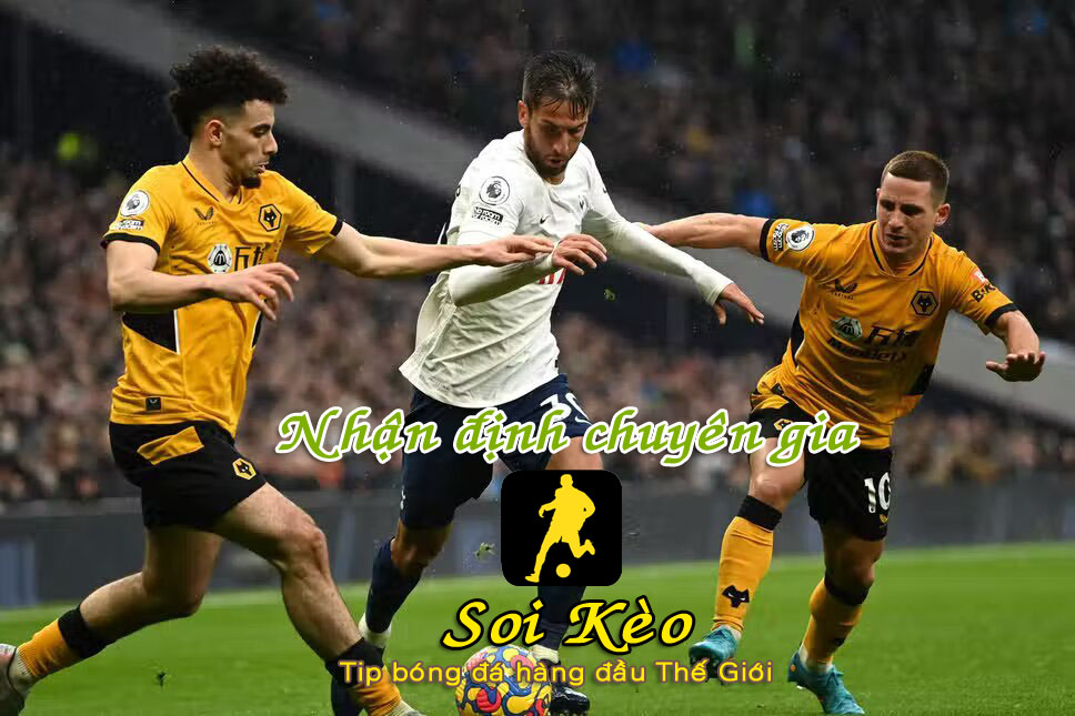 Soi Kèo Wolves - Tottenham