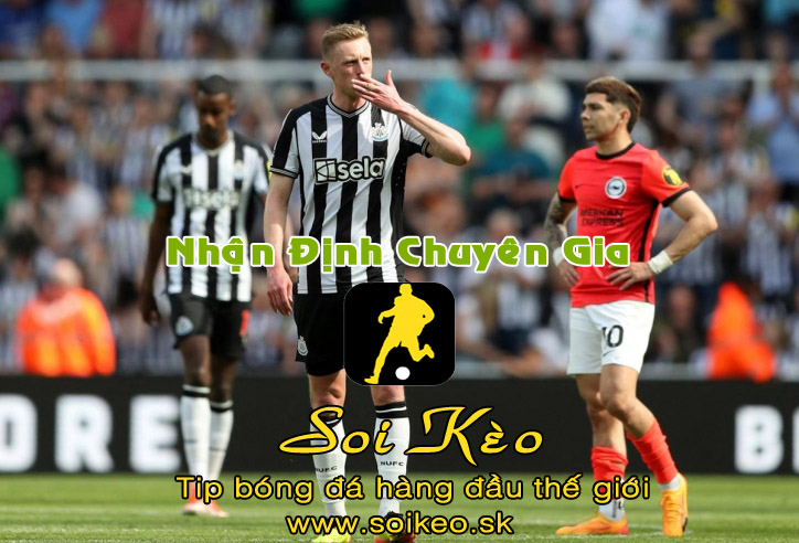 Soi Kèo tip bóng đá Newcastle - Brighton