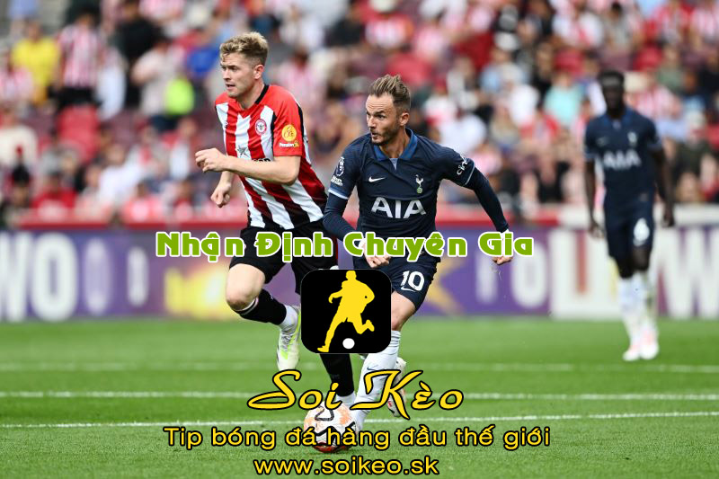 Soi Kèo tip bóng đá Tottenham - Brentford